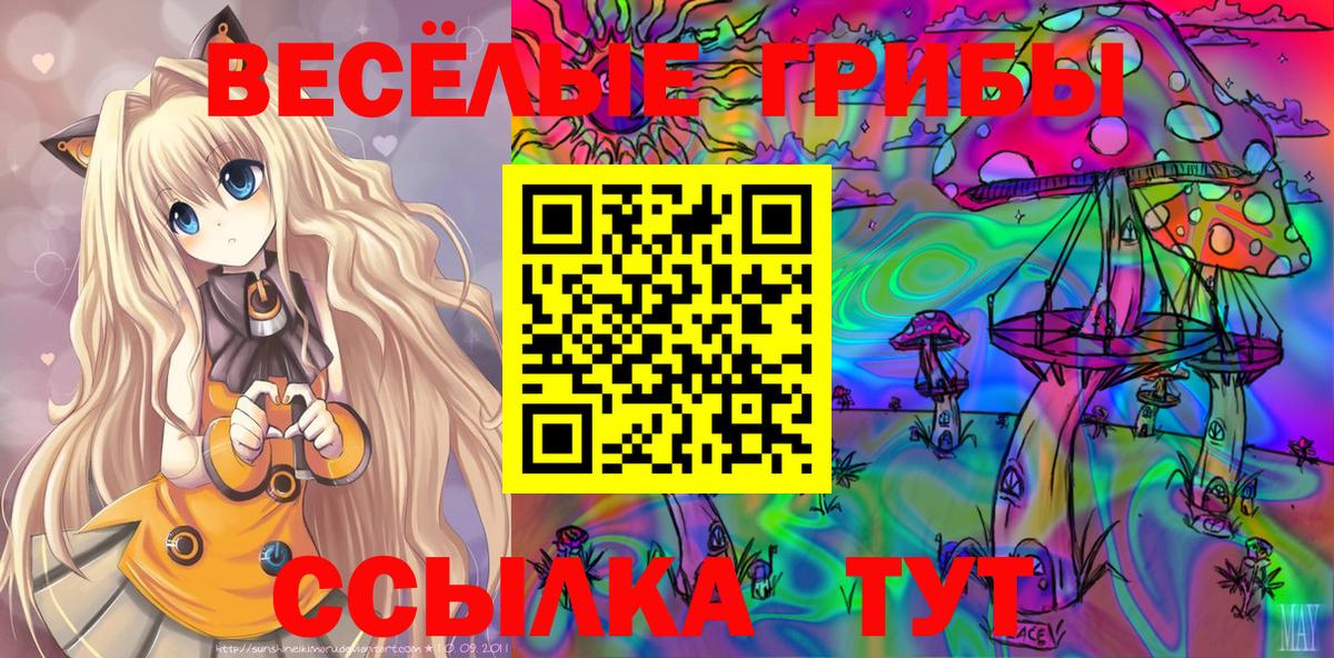 Галлюциногенные грибы Psilocybe  где купить наркотик  Галлюциногенные грибы MAGIC MUSHROOMS  Асбест  Вход с VPN 